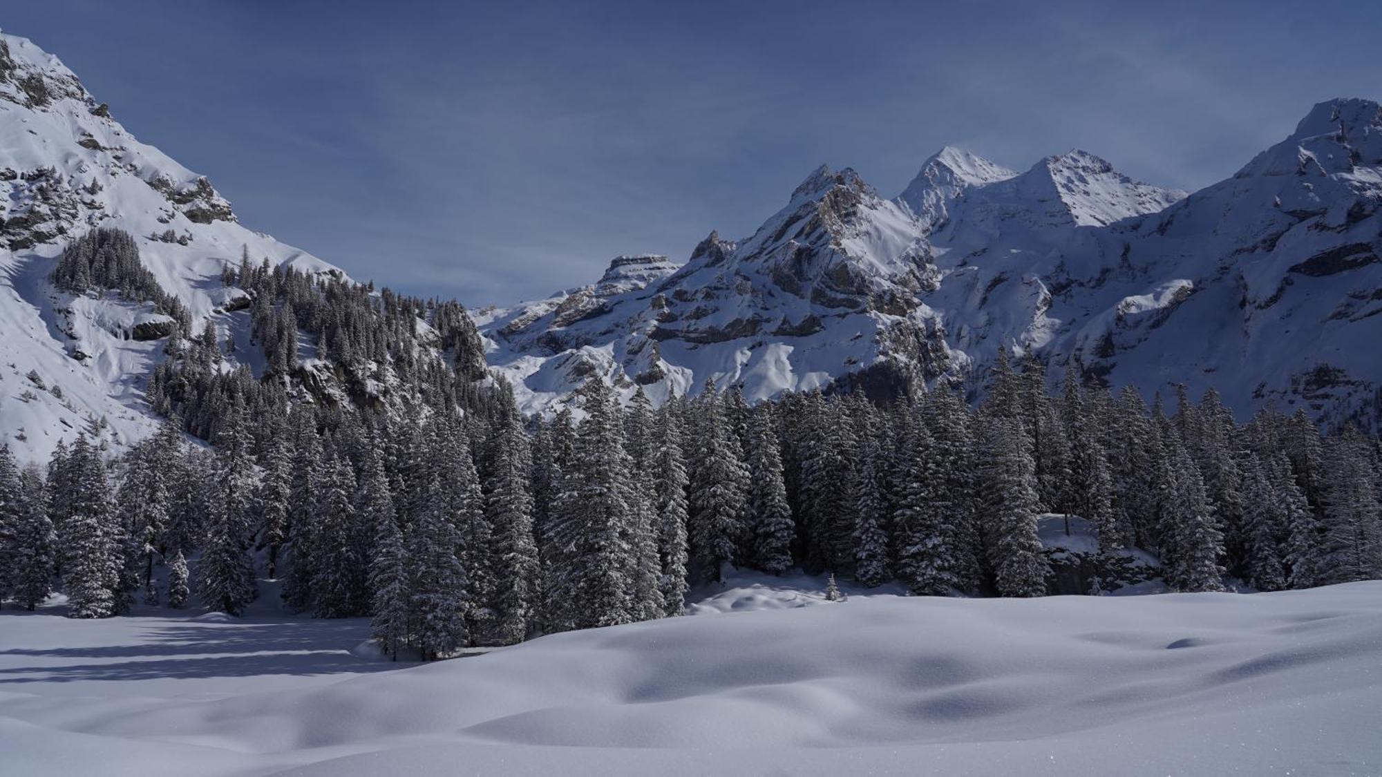 Seilers Vintage Hotel & Spa Kandersteg Dış mekan fotoğraf