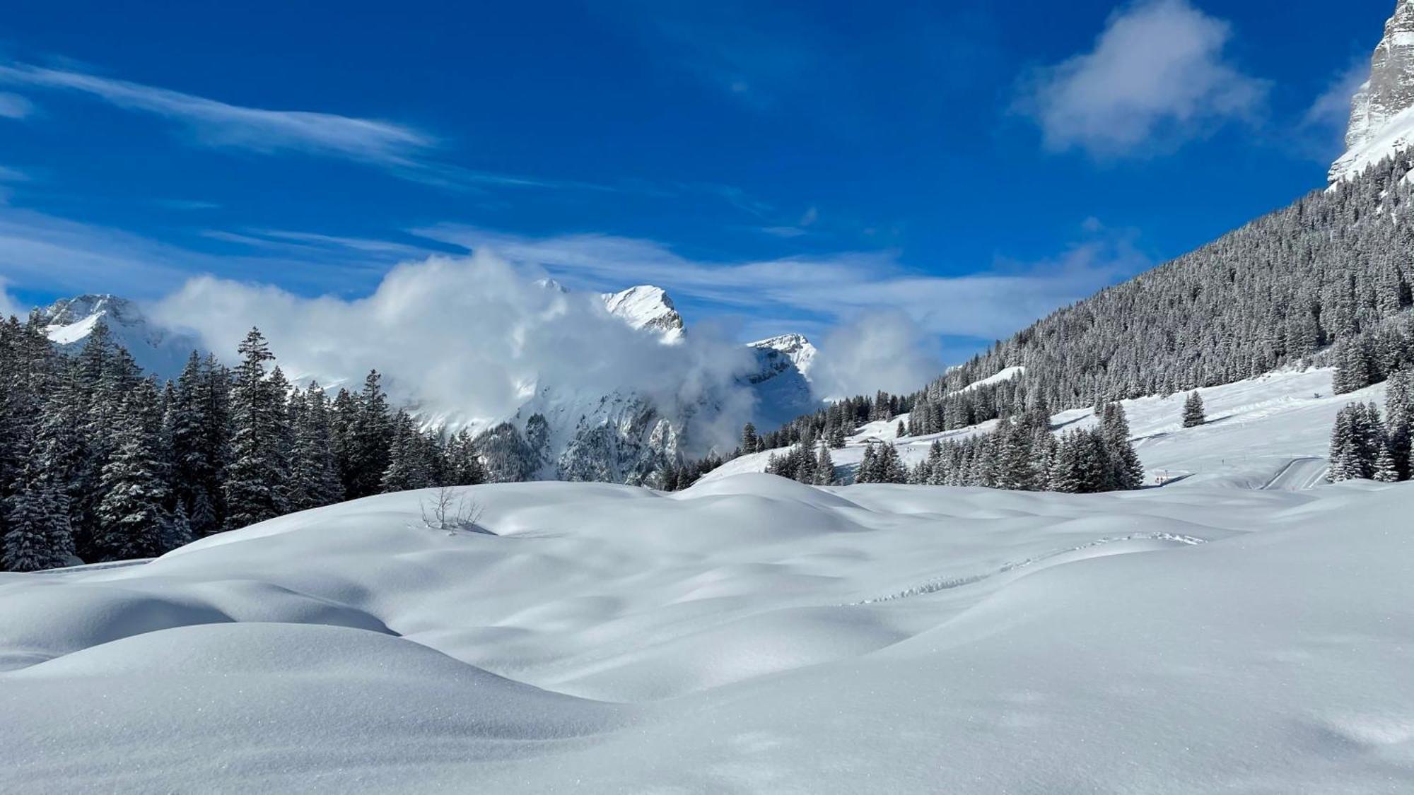 Seilers Vintage Hotel & Spa Kandersteg Dış mekan fotoğraf