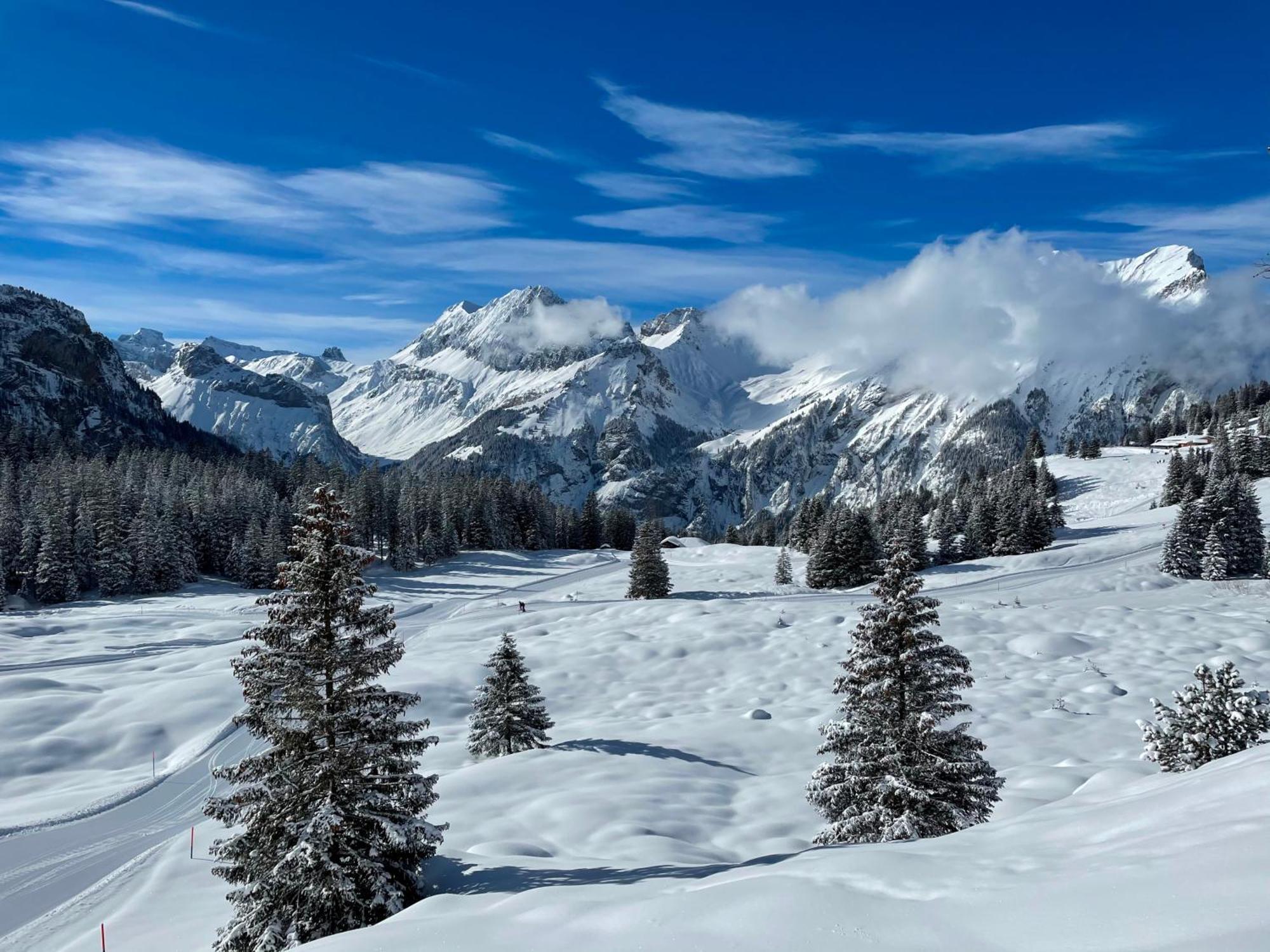 Seilers Vintage Hotel & Spa Kandersteg Dış mekan fotoğraf