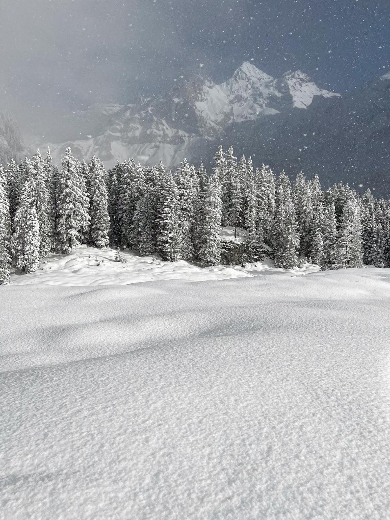 Seilers Vintage Hotel & Spa Kandersteg Dış mekan fotoğraf