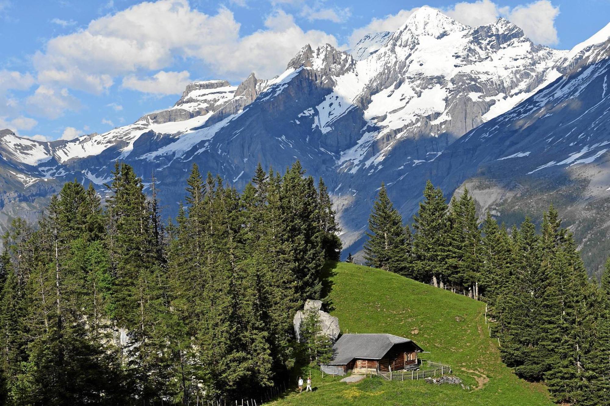 Seilers Vintage Hotel & Spa Kandersteg Dış mekan fotoğraf