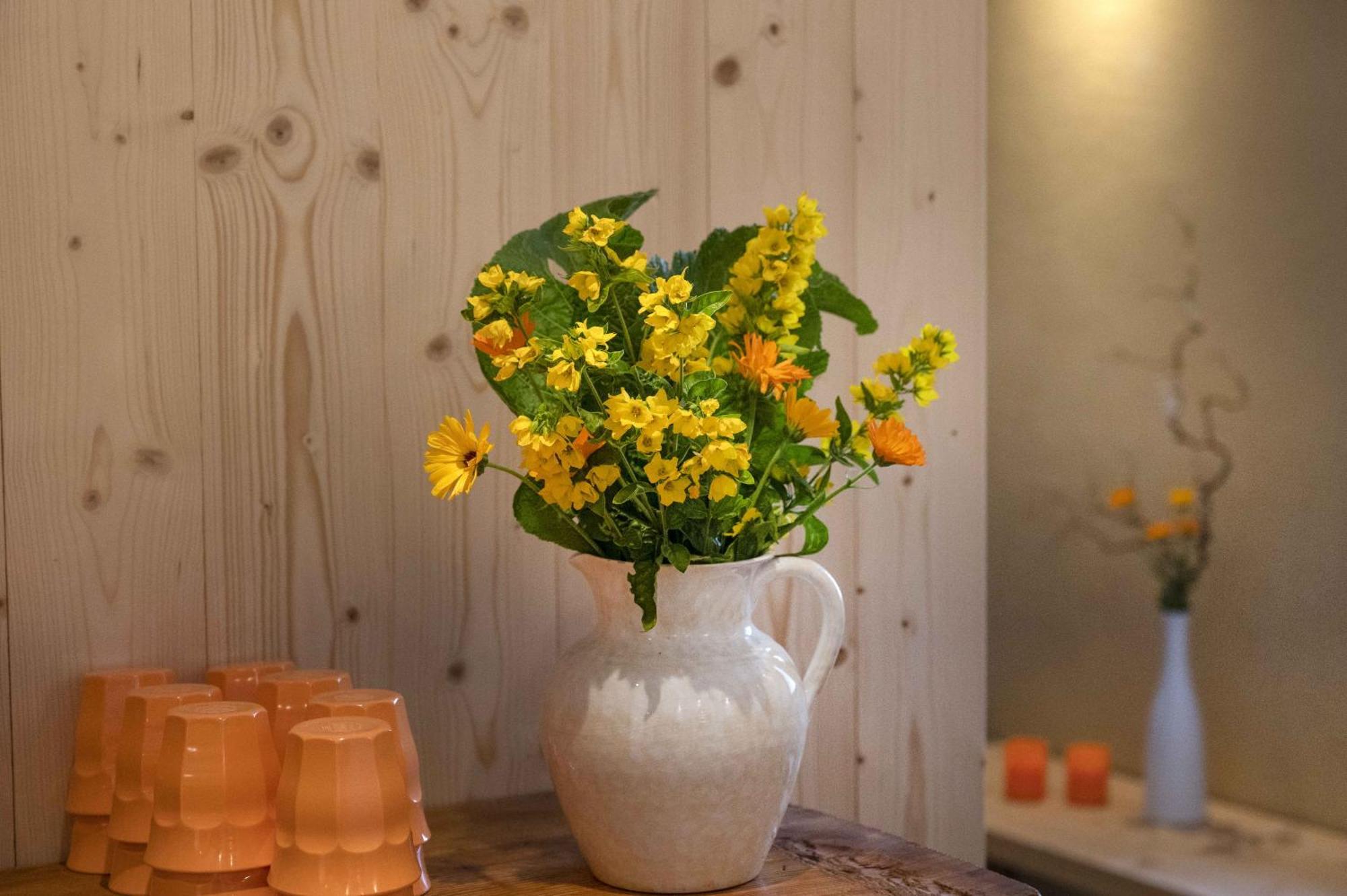 Seilers Vintage Hotel & Spa Kandersteg Dış mekan fotoğraf